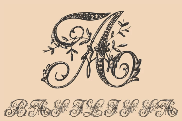 Basilissa: A Floral Font for Modern Design